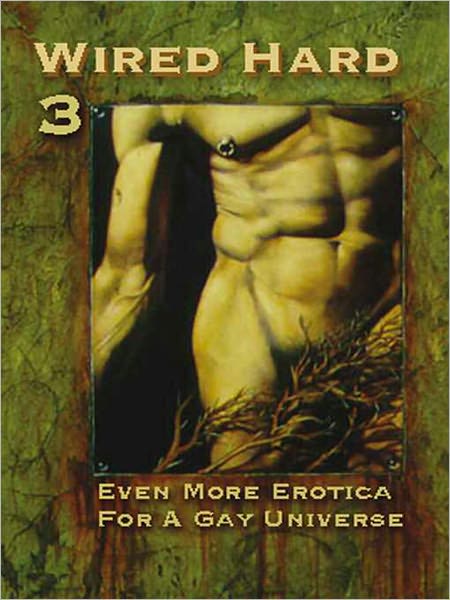Even More Erotica for a Gay Universe [Wired Hard 3]