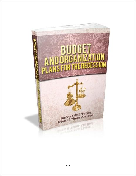Budget And Organization Plans For The Recession