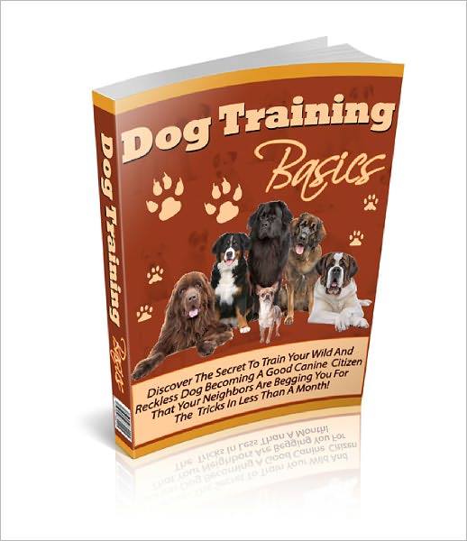 Dog Training Basics Training a dog on how to behave and follow every command