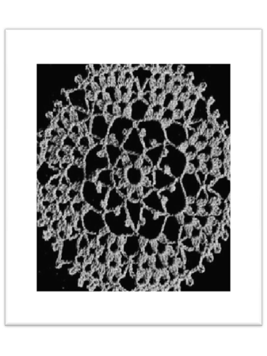 PATTERN #2747 CHRYSANTHEMUM VINTAGE CROCHET