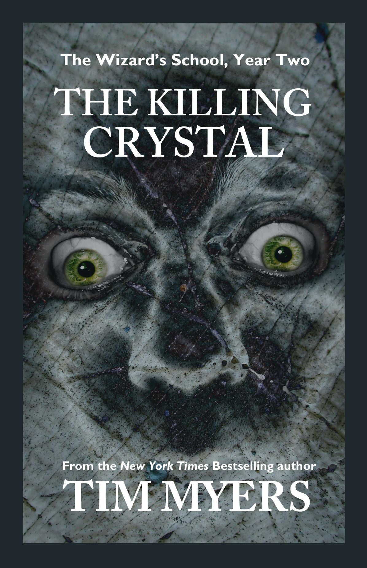 Wizard's School: Year 2, The Killing Crystal (Young Adult Fantasy)