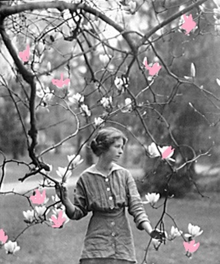 Poems: 99 Cent Renascence & Other Poems ( poem, poems, poet, poetry, William Shakespeare, literature, Edgar Allan poem, plays, works )