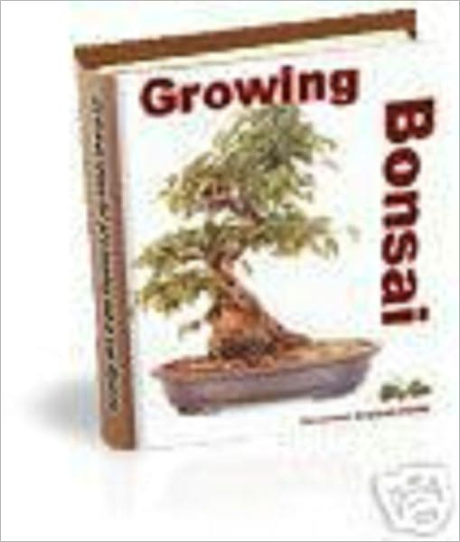 Growing Bonsai Trees