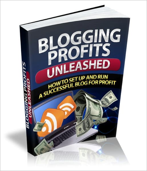 Blogging Profits Unleashed - How to Set Up and Run A Successful Blog for Profit