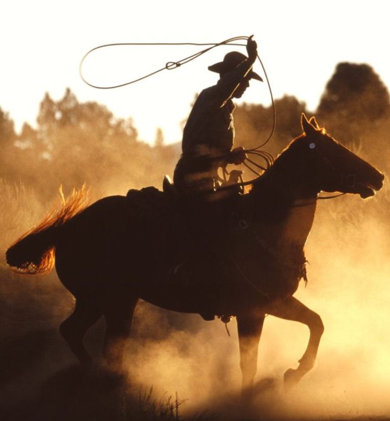 99 cent e-book:The Heritage of the Desert