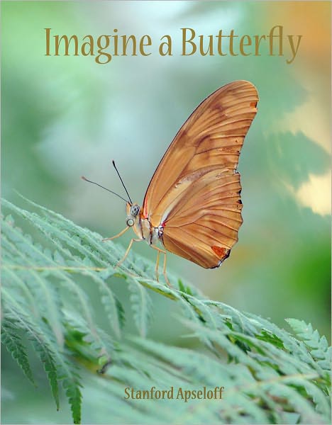 Imagine a Butterfly