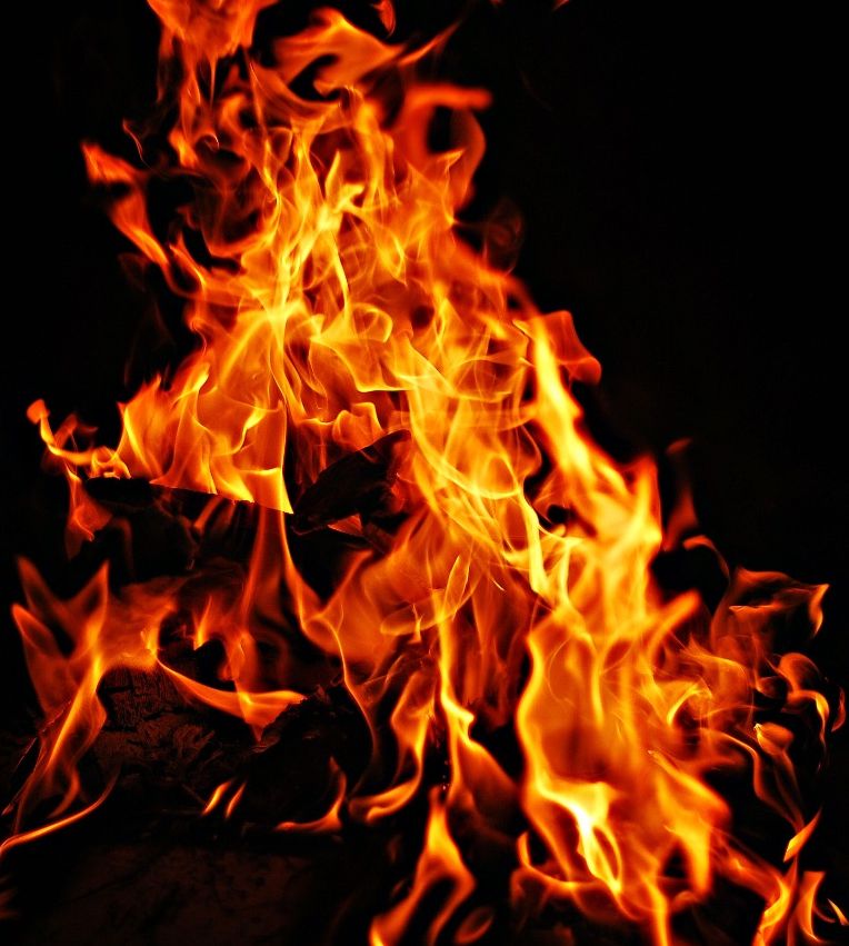 Diet & Nutrition: 99 Cent Salted With Fire ( saline, salty, salted, savoury, savory, Fire, great fire, blaze, inferno, baby, child, babe, infant, chit, tenderling)