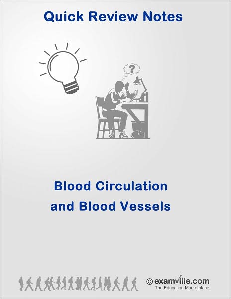 Blood Circulation and Blood Vessels: Quick Review of the Circulatory System
