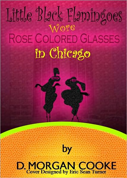 Little Black Flamingoes Wore Rose Colored Glasses in Chicago