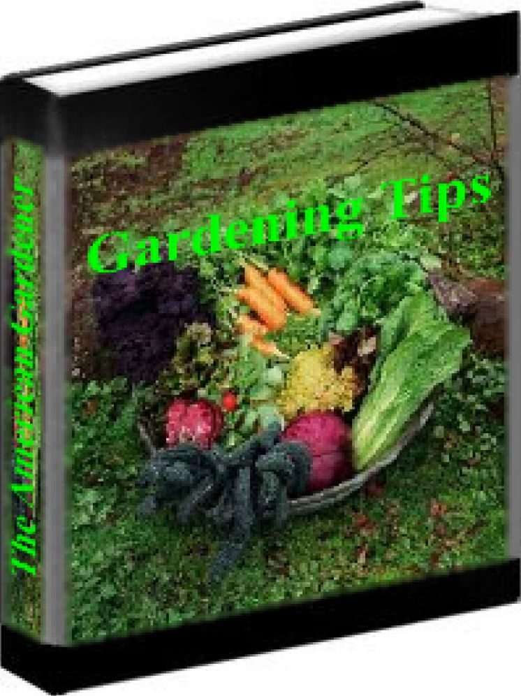 Gardening Tips - The American Gardener