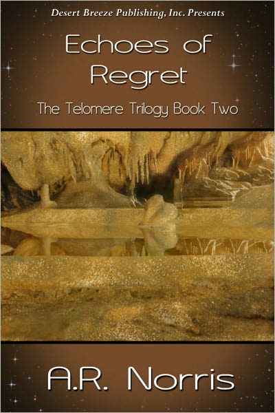 Echoes of Regret