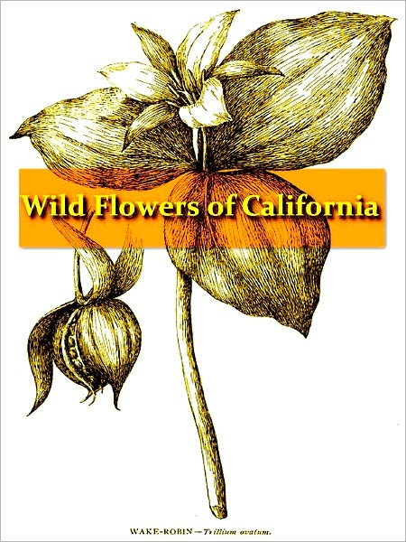 The Wild Flowers of Califorina: Their Names, Haunts, and Habits [Illustrated]