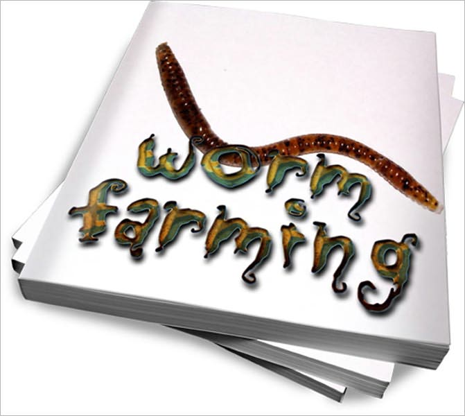Start A Worm Farming Business – An In Depth Guide