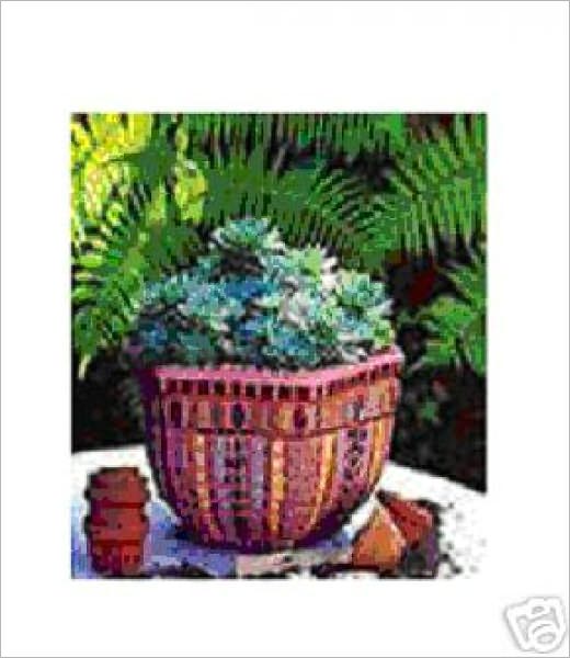 Getting Started with Mosaics: An Illustrated Guide