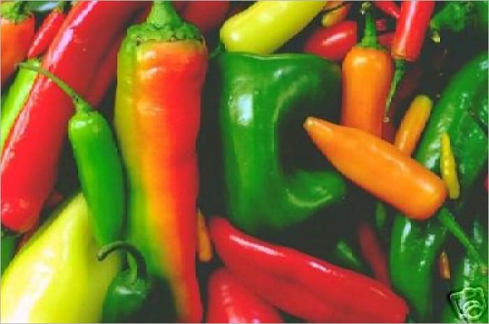 450 Vegetable Recipes
