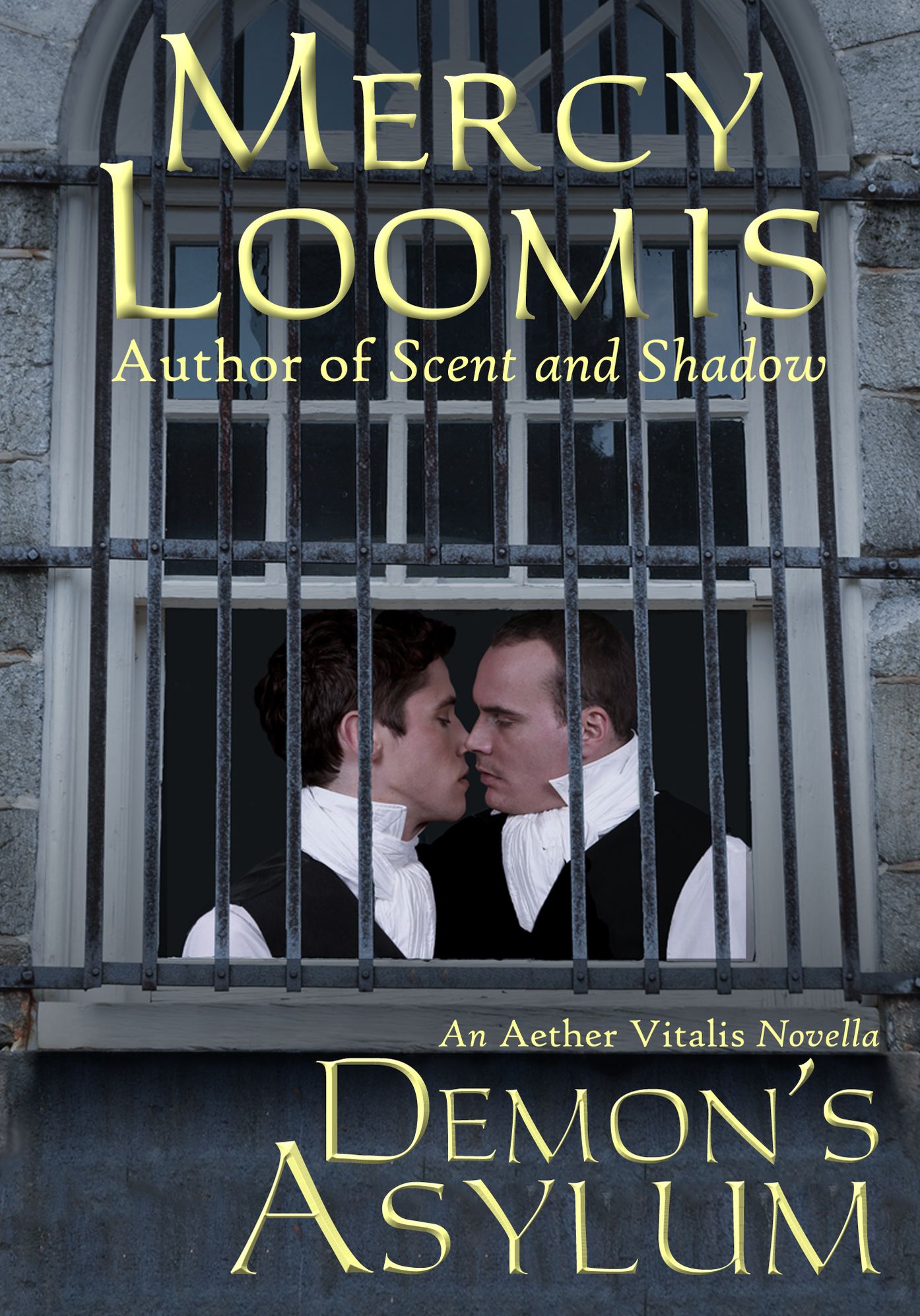 Demon's Asylum: an Aether Vitalis Novella