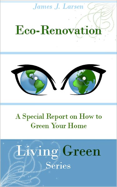 Eco-Renovation: A Special Report on How To Green Your Home