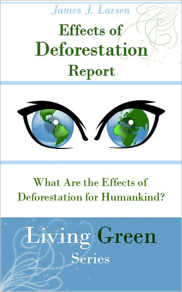 Effects of Deforestation Report: What Are the Effects of Deforestation for Humankind?