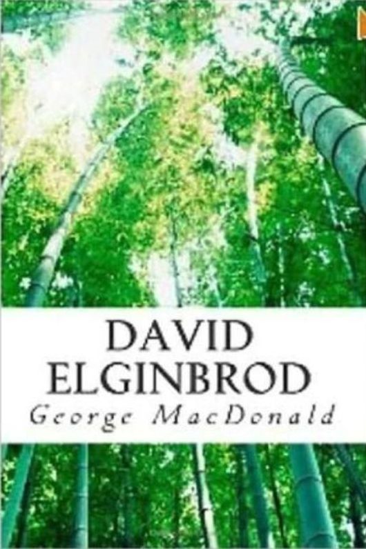 Fantasy Fiction: 99 Cent David Elginbrod