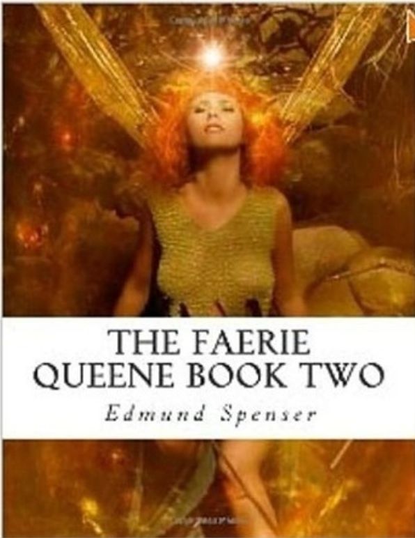 Children with Special Needs: Faerie Queen Book Two