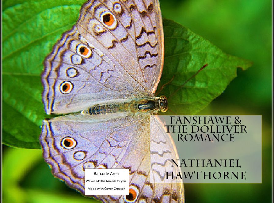 Romance: 99 Cent Fanshawe & The Dolliver Romance (novel, fiction, romance, introduction, proposal, romance, unreal event)