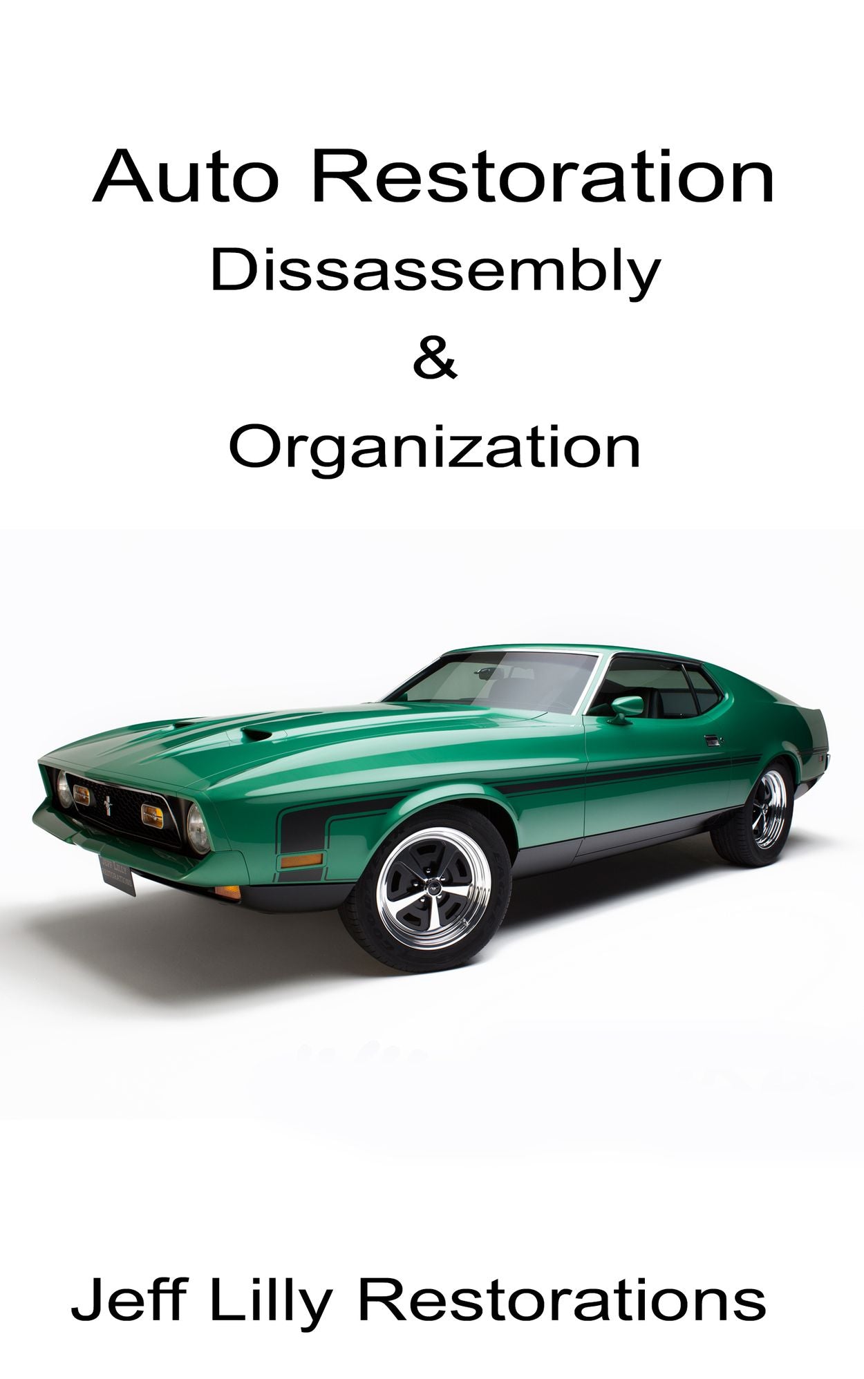 Auto Restoration, Dissassembly & Organization