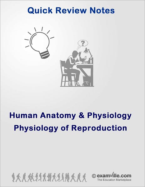 Physiology of Reproduction: Quick Review for Nurses, Nursing and Medical Students