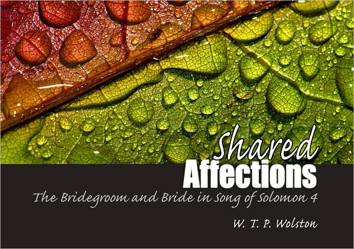 Shared Affections: The Bridegroom and the Bride in Song of Solomon 4