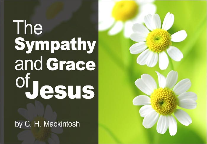 The Sympathy and Grace of Jesus