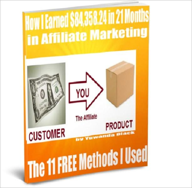 How I Earned $84,358.24 in 21 Months in Affiliate Marketing: The 11 FREE Methods I Used