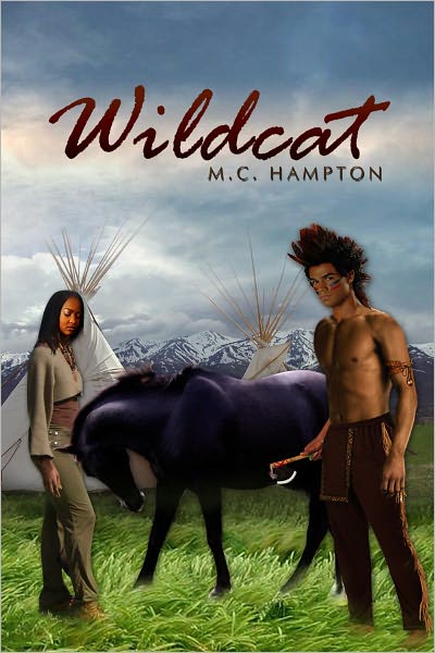 Wildcat