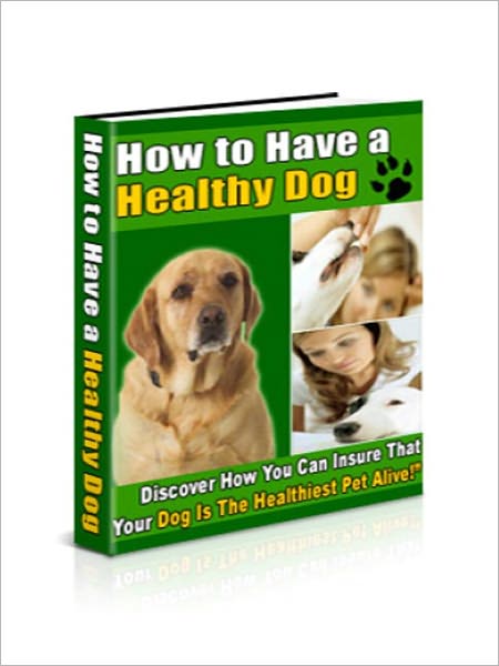 How To Have A Healthy Dog