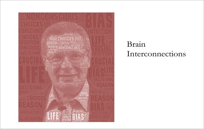 Brain Interconnections