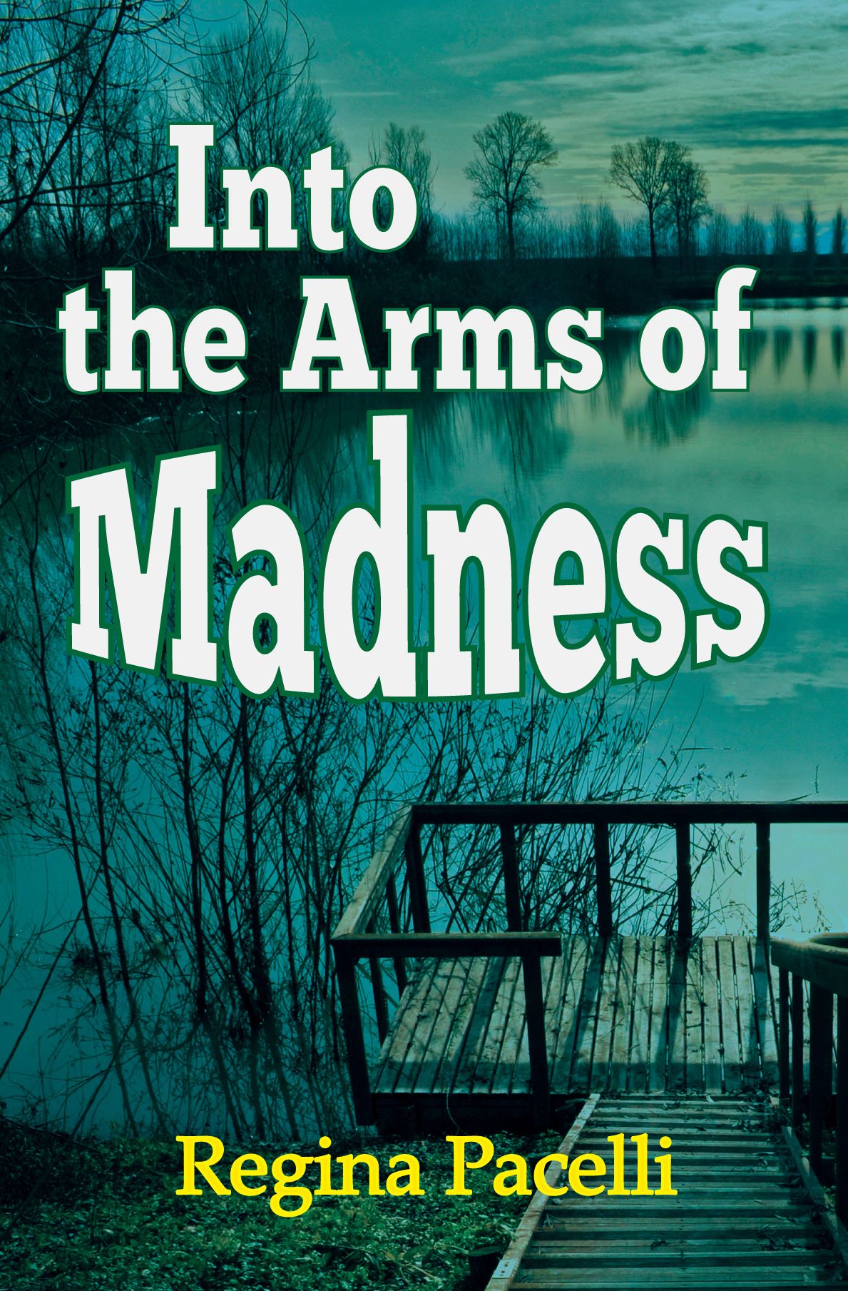 Into the Arms of Madness: A Novel of Suspense