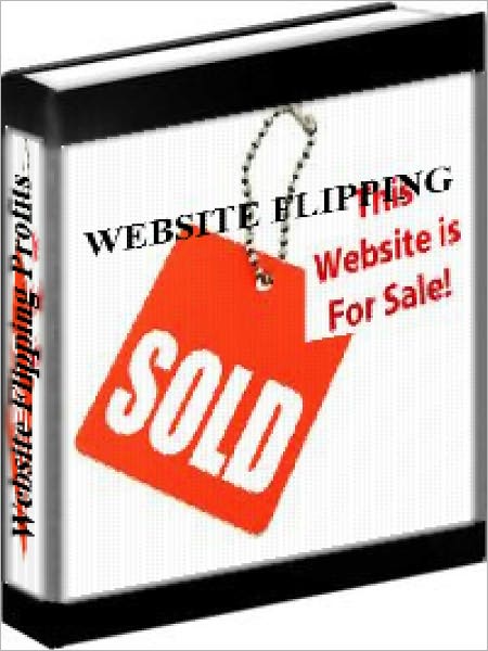 Website Flipping Profits - How To Make Money Online Flipping Websites