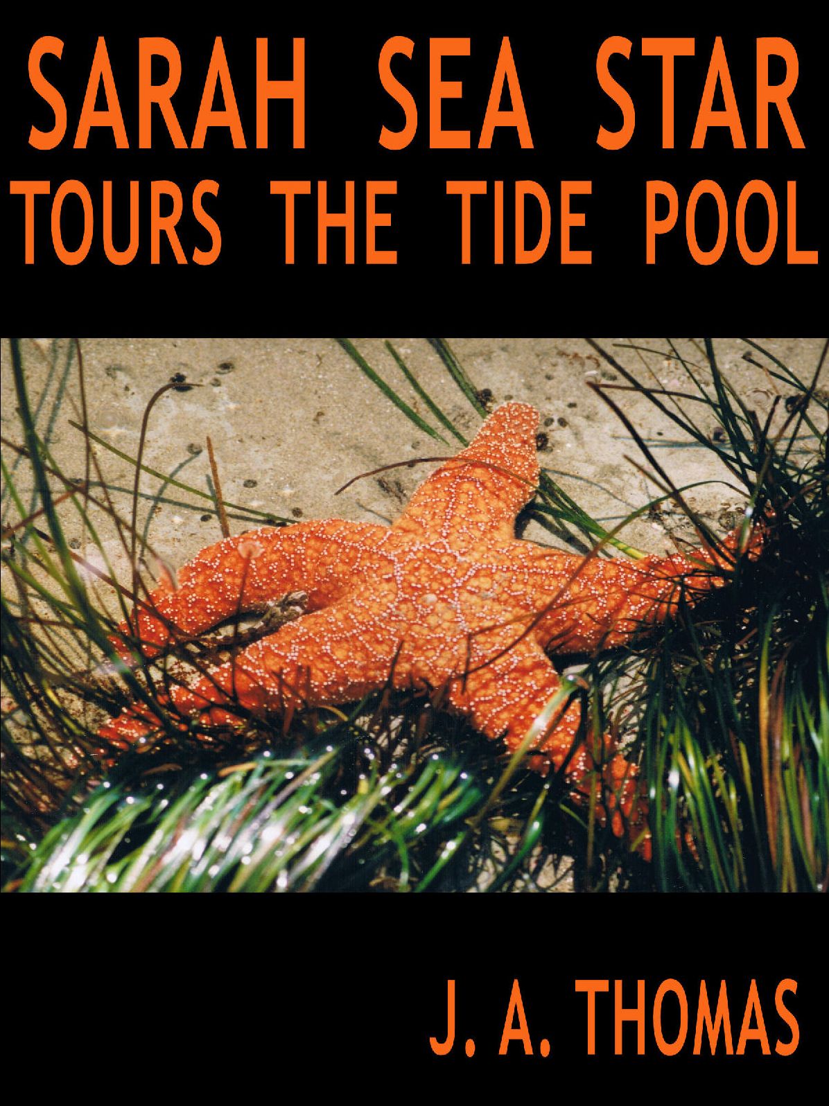 Sarah Sea Star Tours the Tide Pool