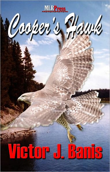 Cooper's Hawk
