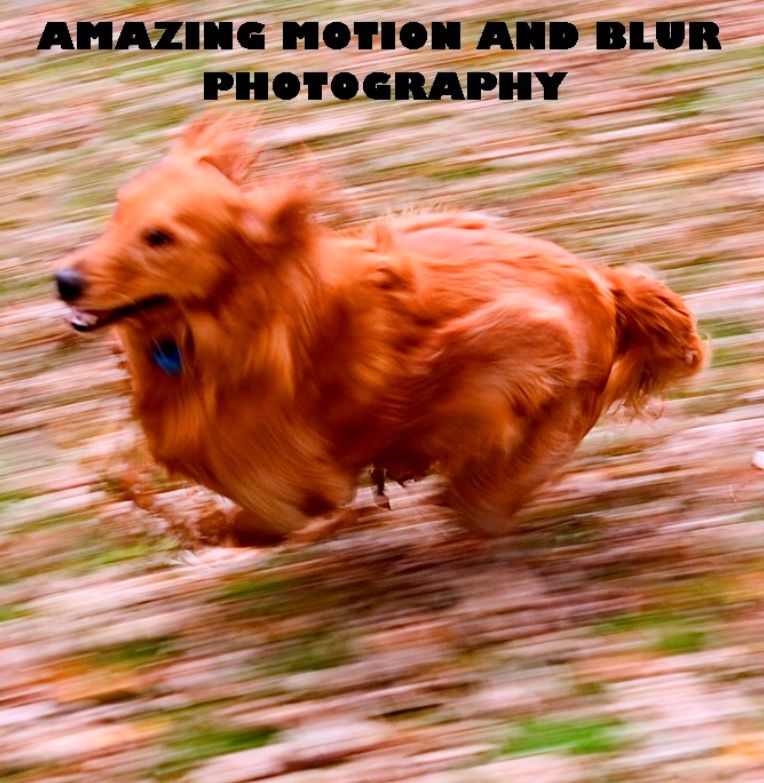 Photography: AMAZING MOTION AND BLUR PHOTOGRAPHY
