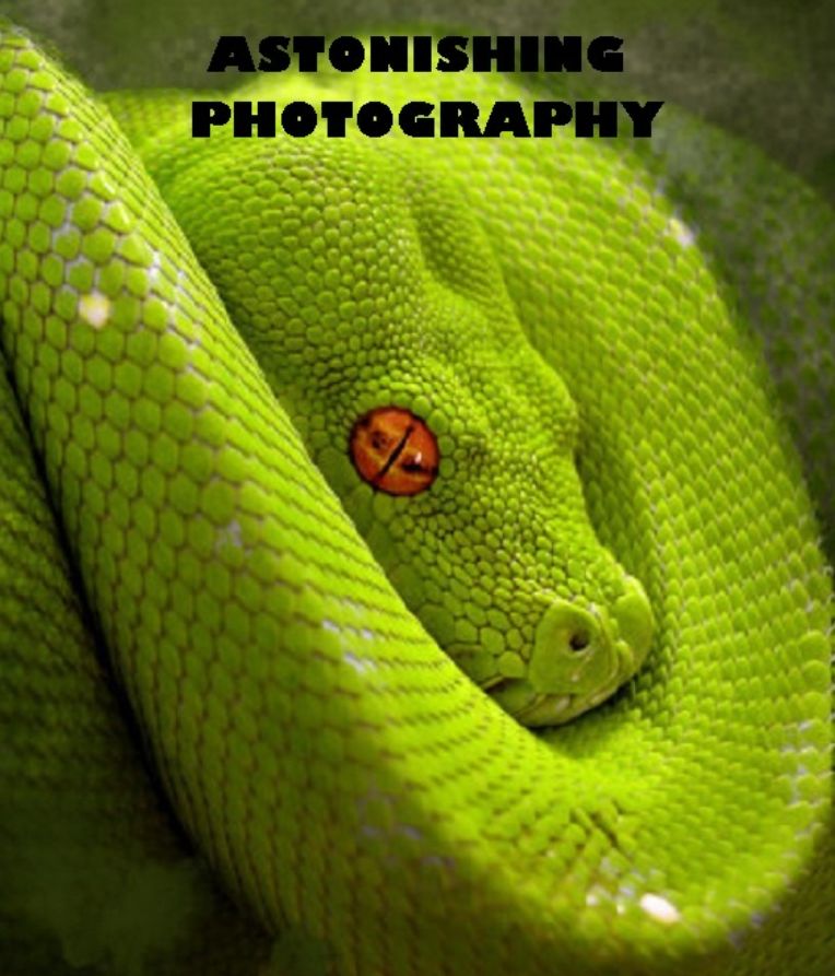PHOTOGRAPHY: ASTONISHING PHOTOGRAPHY