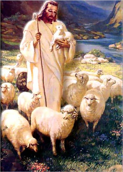 The Shepherd: The Life Of Jesus Christ For Children! (Brand New) AAA+++