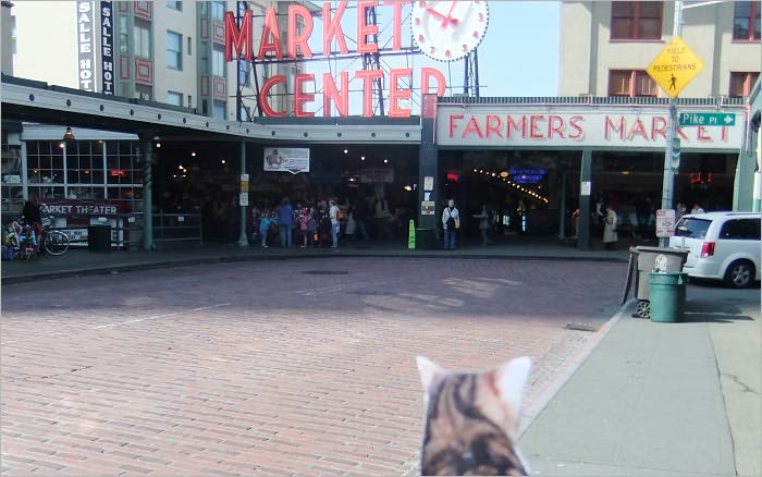 SYDNI'S TRAVEL LOG: PIKE PLACE MARKET