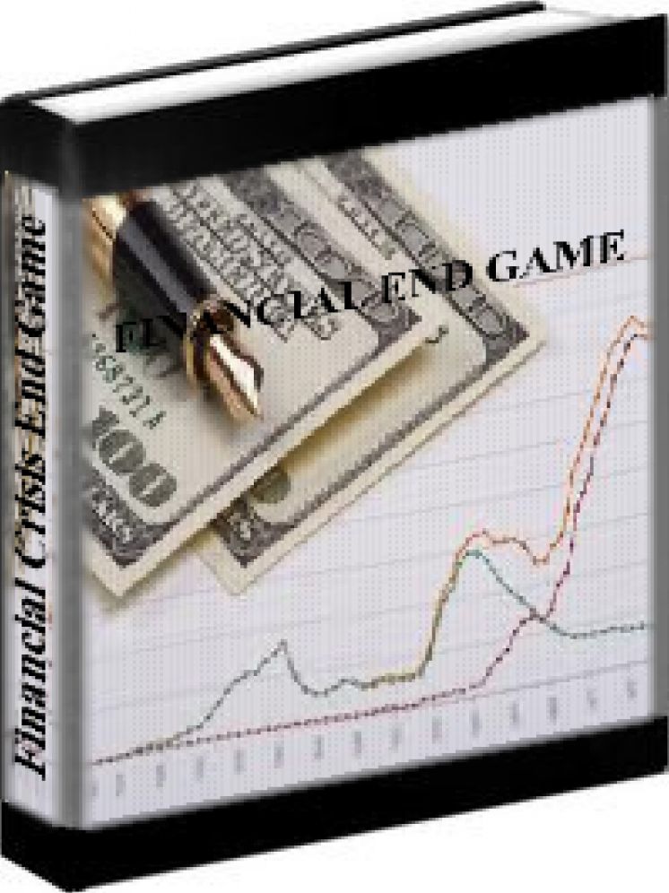 Financial End Game - How To Make Big Money During A Global Crisis