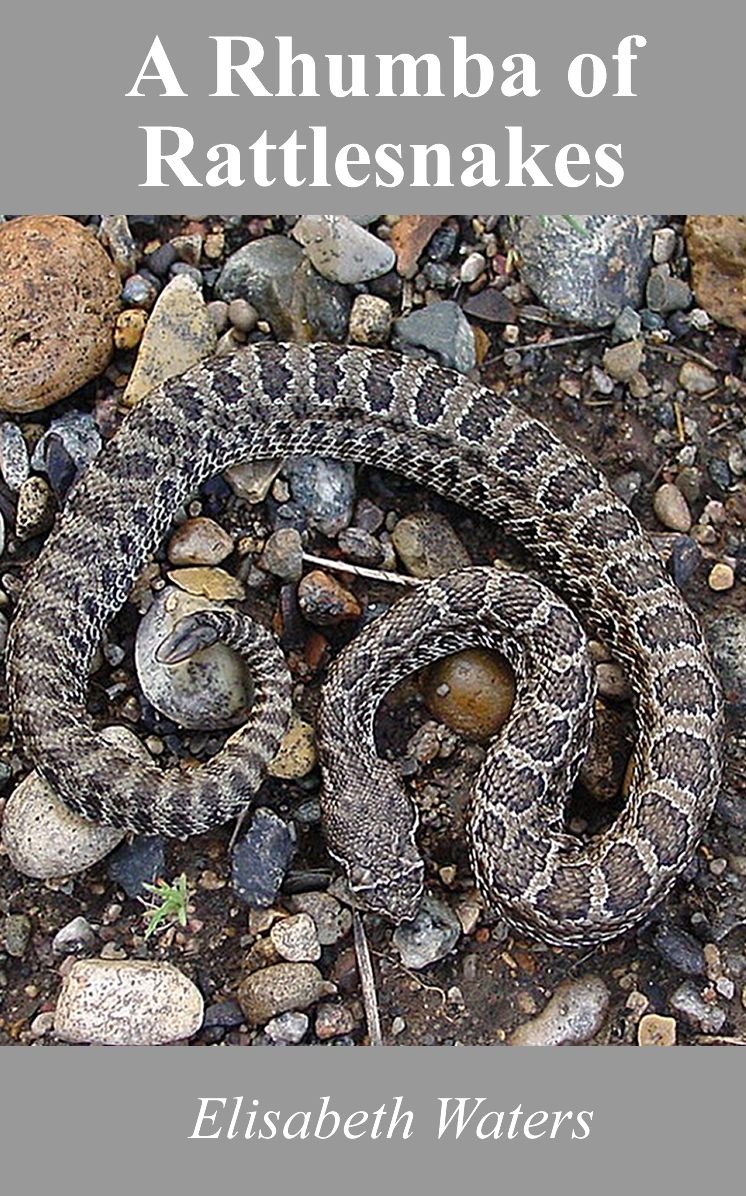A Rhumba of Rattlesnakes