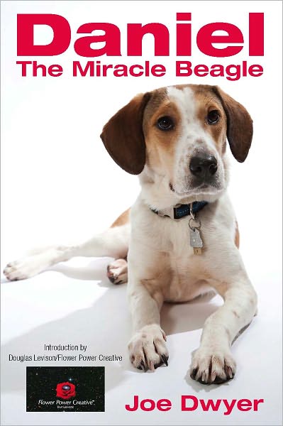 Daniel The Miracle Beagle