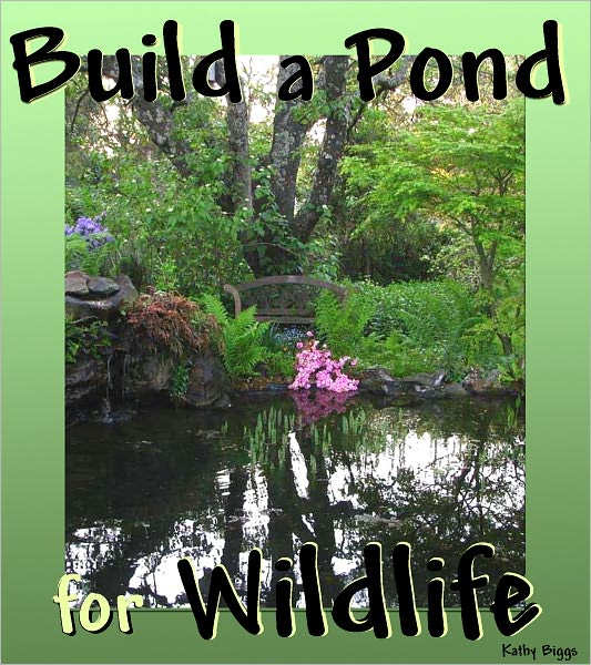 Build a Pond for Wildlife