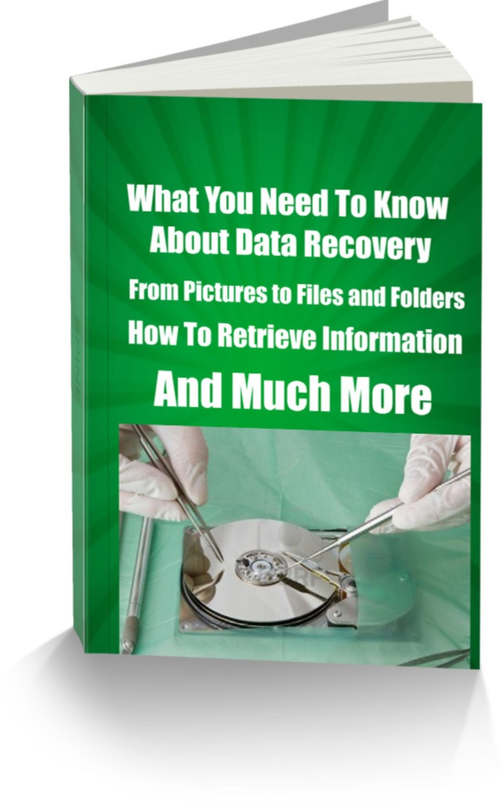What You Need To Know About Data Recovery From Pictures To Files and Folders How To Retrieve Information And Much More