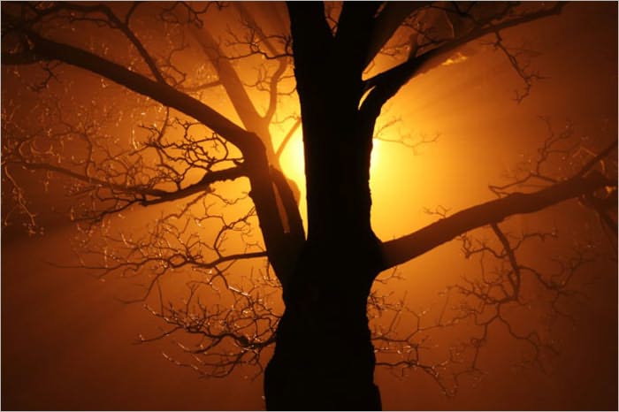 Horror, Mystery and Murder ~ 7 Classic Short Stories