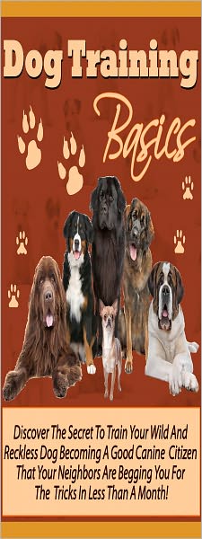 Dog Training Basics