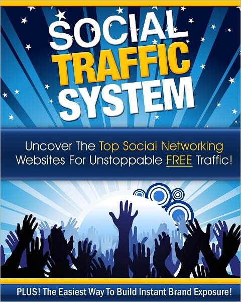 Social Traffic System: Top Social Networking Sites For Your Business