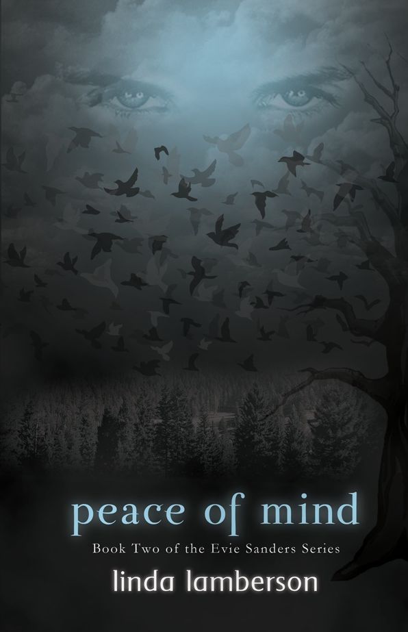 Peace of Mind: Book Two of the Evie Sanders Series